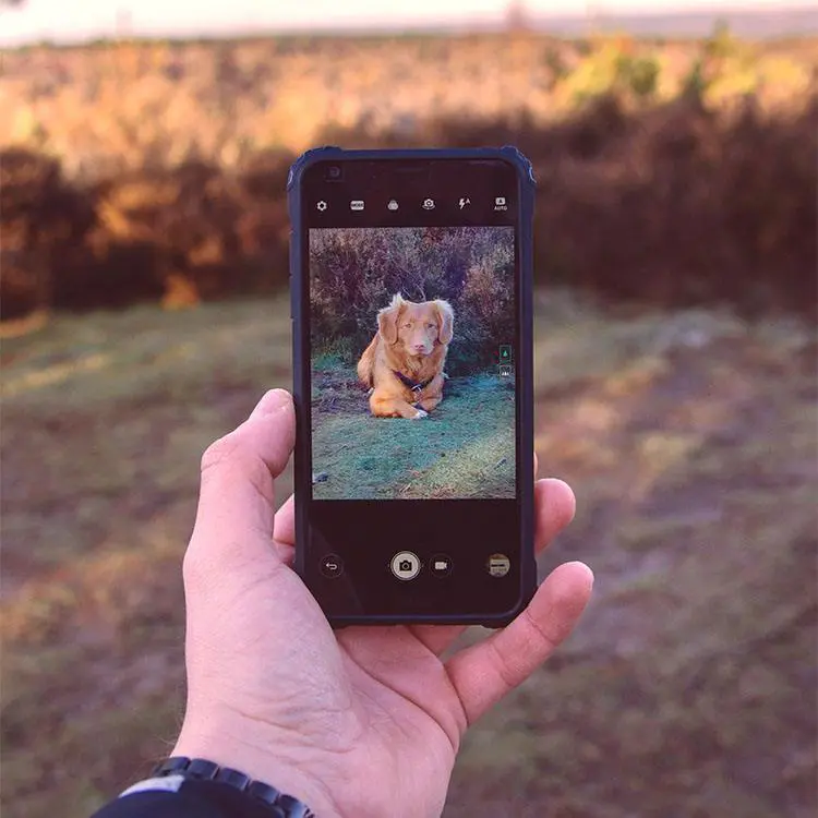 oscar-sutton-Oozc5wabprc-unsplash a person holding a cell phone