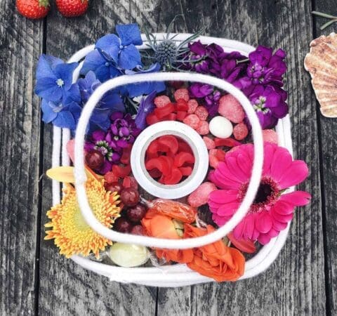 Rainbow colour of flower
