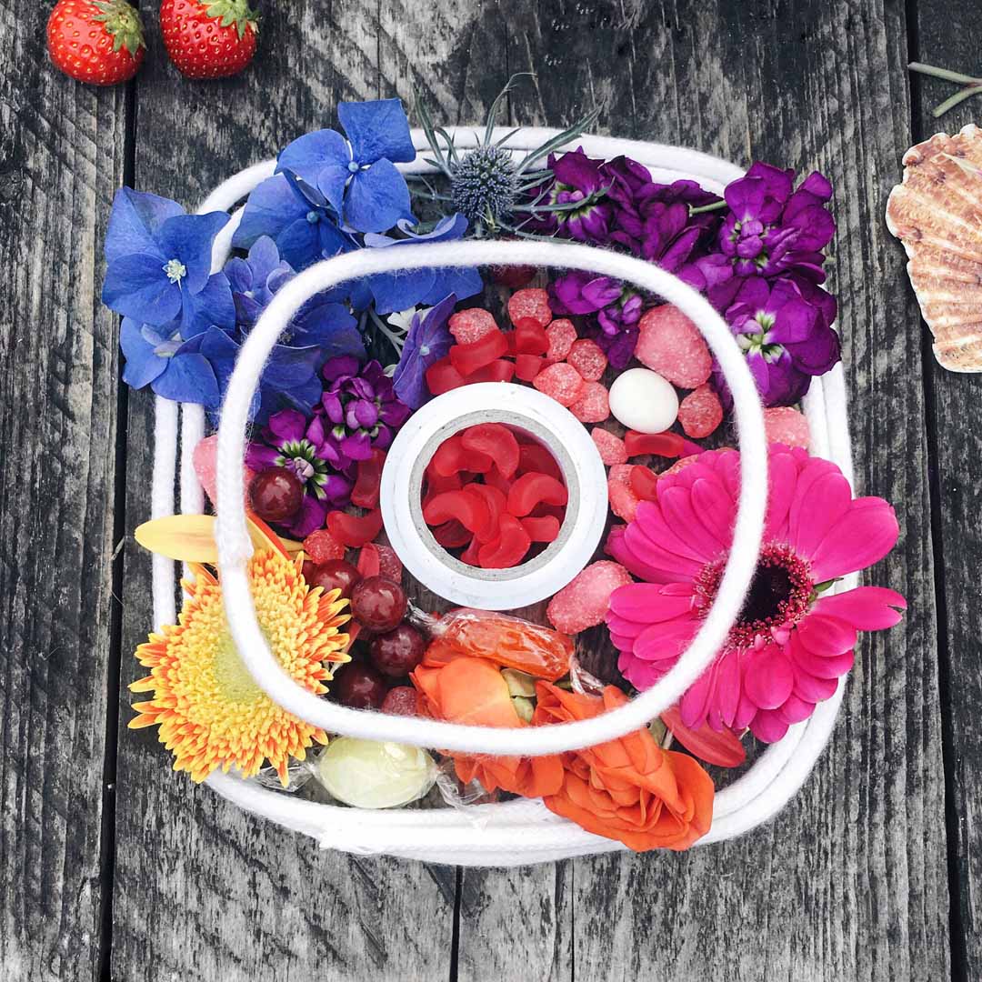 Rainbow colour of flower